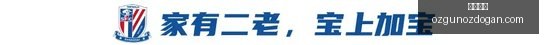 电竞战队夏,季赛,转会潮涌新,开云体育官网,开云体育App,开云体育下载,开云体育登录,开云体育平台